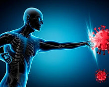 Enhancing Immunity: The Impact of Allicin on Your Body's Defenses