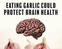 Allicin and Brain Health: Can Garlic Improve Cognitive Function?