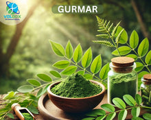 Gurmar: The Sugar Destroyer and Its Powerful Health Benefits