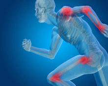 Allicin Supplements: Supporting Joint Function and Cardiovascular Wellness