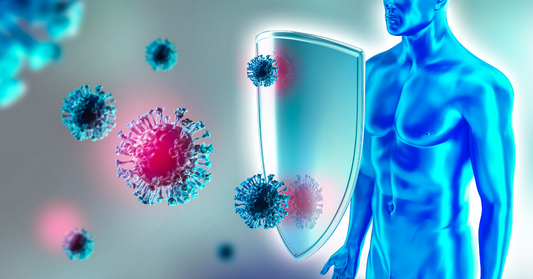 A garlic bulb surrounded by cloves, illustrating the natural source of allicin, a potent compound for combating colds and flu.