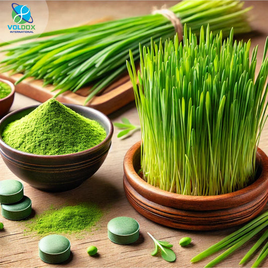 The Miraculous Herb: Unlocking the Health Benefits of Wheatgrass