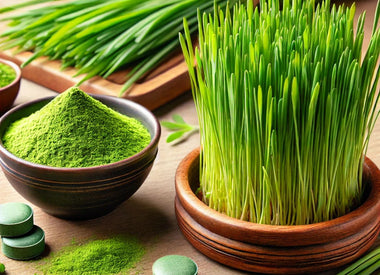 The Miraculous Herb: Unlocking the Health Benefits of Wheatgrass