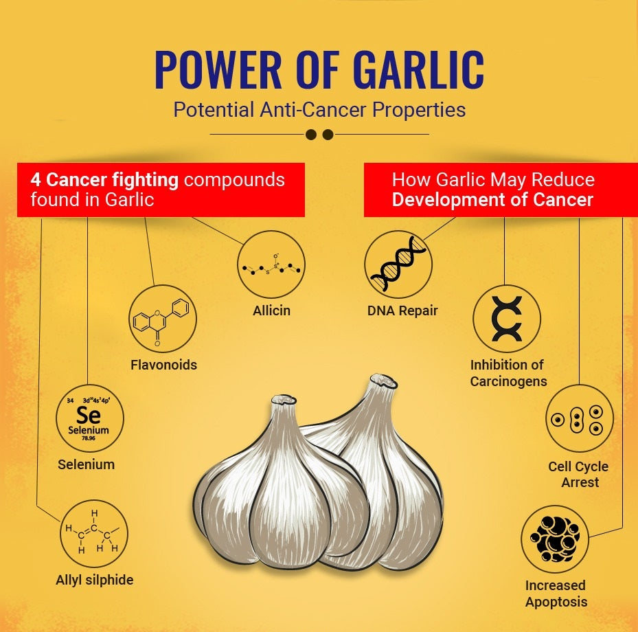 Allicin's Anti-Cancer Potential: Unveiling the Science behind Garlic's Protective Properties