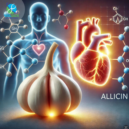 The Power of Allicin: Natural Support for a Healthy Heart.