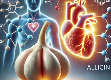 The Power of Allicin: Natural Support for a Healthy Heart.