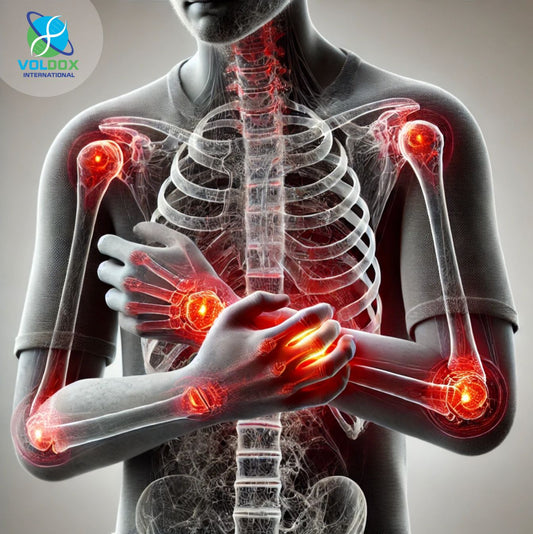 Voldox Allicin Supplements: Supporting Joint Function