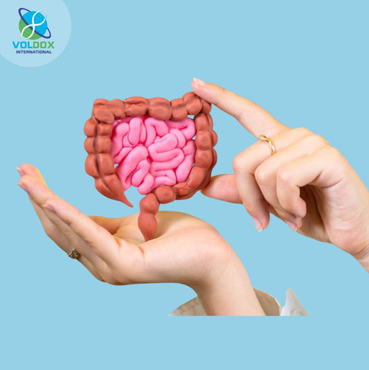 VolDox Allicin – Natural support for gut balance and digestive wellness.