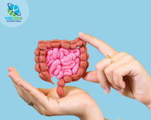 VolDox Allicin – Natural support for gut balance and digestive wellness.