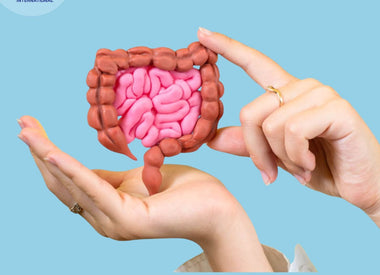 VolDox Allicin – Natural support for gut balance and digestive wellness.