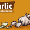 Allicin vs. Antibiotics: A Comprehensive Comparison