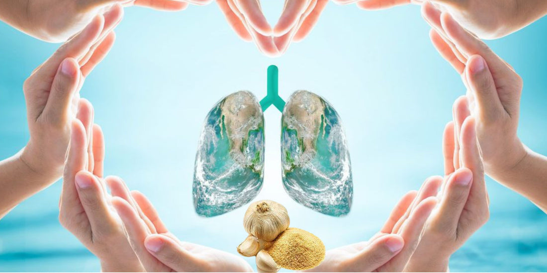 Allicin and Respiratory Health: The Role of Allicin in Fighting Respiratory Infections