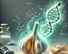 Garlic: Nature’s protector for heart health, digestion, and immune balance.