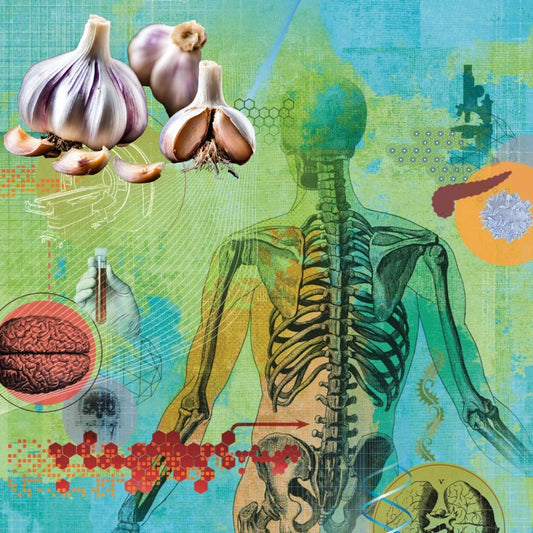 Allicin's Anti-Cancer Potential: Unveiling the Science behind Garlic's Protective Properties