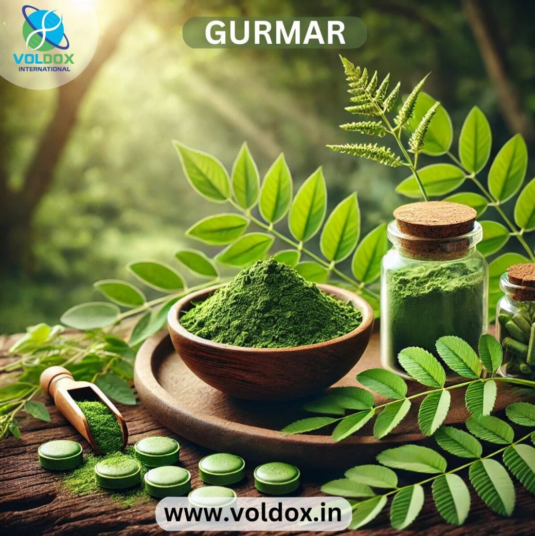 Gurmar: The Sugar Destroyer and Its Powerful Health Benefits