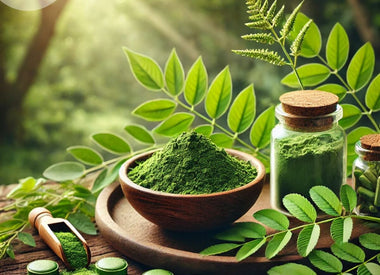 Gurmar: The Sugar Destroyer and Its Powerful Health Benefits