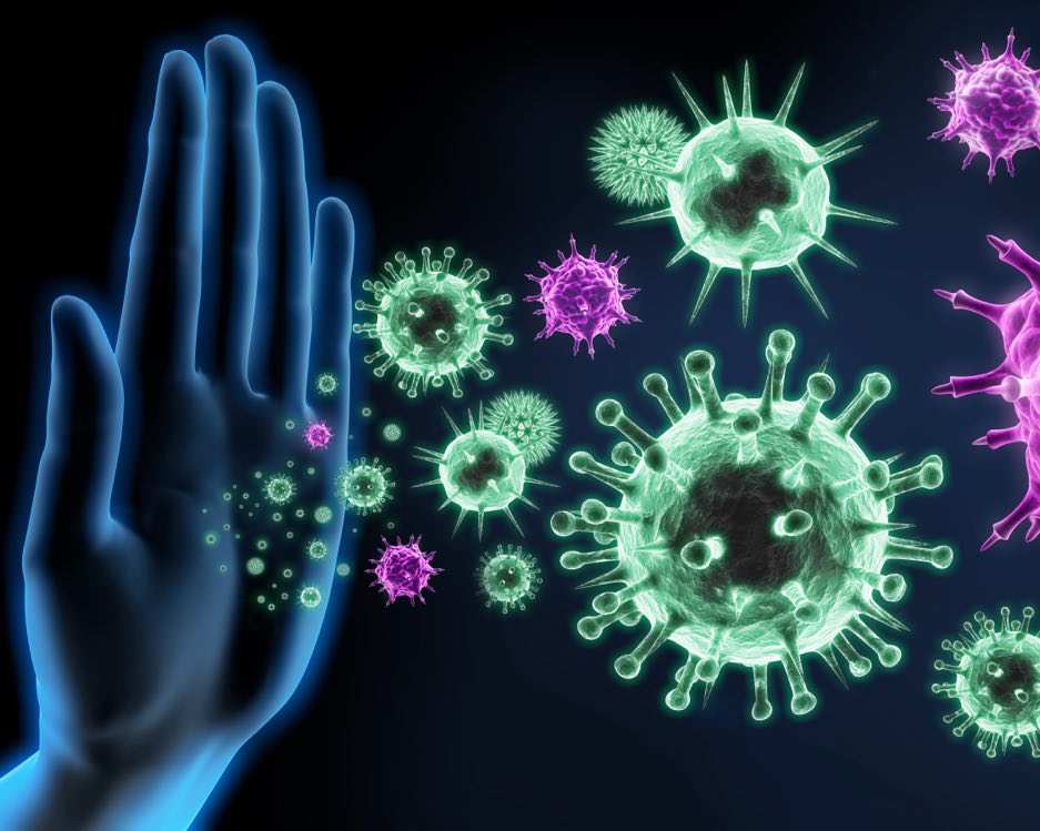 Harness the Power of Allicin to Combat Cold and Flu