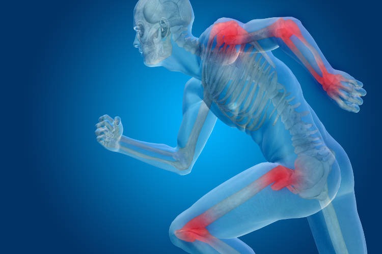 Allicin Supplements: Supporting Joint Function and Cardiovascular Wellness