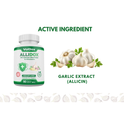 AlliDox – 100% Stabilised Allicin Capsules Natural Immune Support | Potent Garlic Extract | Vegan | Antibiotic Alternative | 90 Vegan Capsules