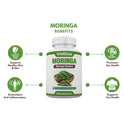 Moringa Tablets – 60 Count Natural Immunity Booster | Energy, Strength & Stamina Enhancer | Ayurvedic Supplement for Daily Wellness & Vitality