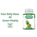 WheatGrass 120 Tablets Superfood, Natural Antioxidant and Immunity Booster
