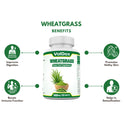 WheatGrass 120 Tablets Superfood, Natural Antioxidant and Immunity Booster