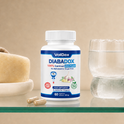 DiabaDox – Natural Blood Sugar Support with Stabilised Allicin, Cinnamon & Bitter Melon | 60 Vegan Capsules